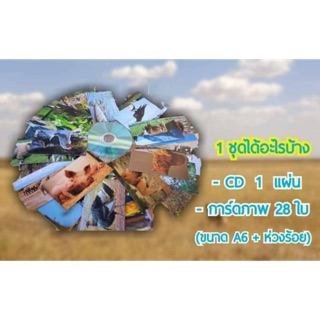 การ์ดเสียงสัตว์เสียงจริง พร้อมการ์ด