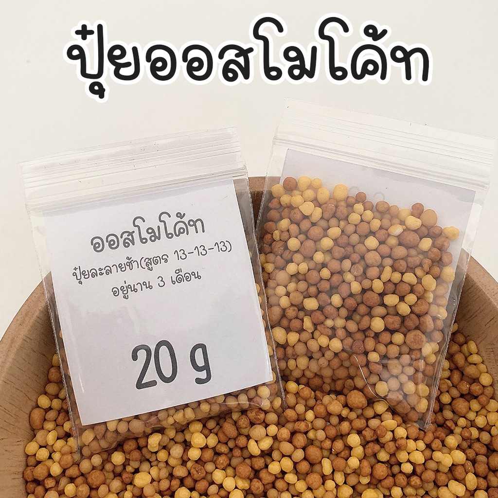 ปุ๋ยออสโมโค้ท (สูตร 13-13-13) ปุ๋ยละลายช้า ปุ๋ยใสต้นไม้ ปุ๋ยเร่งโต ปุ๋ยเร่งดอก