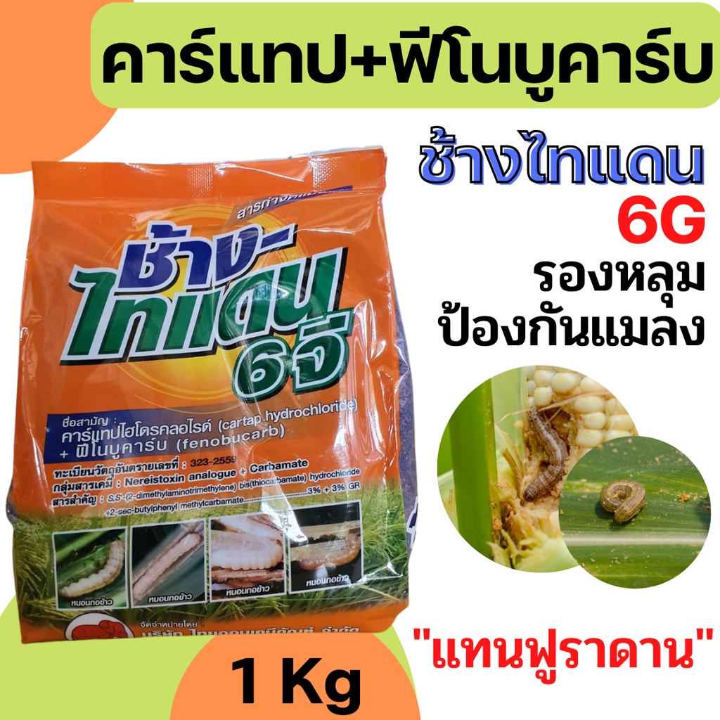 ช้างไทแดน 6 จี คาแทป ฟีโนบูคาป  ฟูราดาน รองหลุม ป้องกันแมลง 1 กก