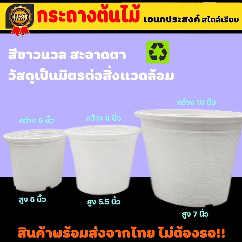 กระถางต้นไม้ เอนกประสงค์ สไตล์เรียบ สีขาวนวลสะอาดตา เป็นมิตรต่อสิ่งแวดล้อมมี3ขนาด6นิ้ว/7นิ้ว/10นิ้ว