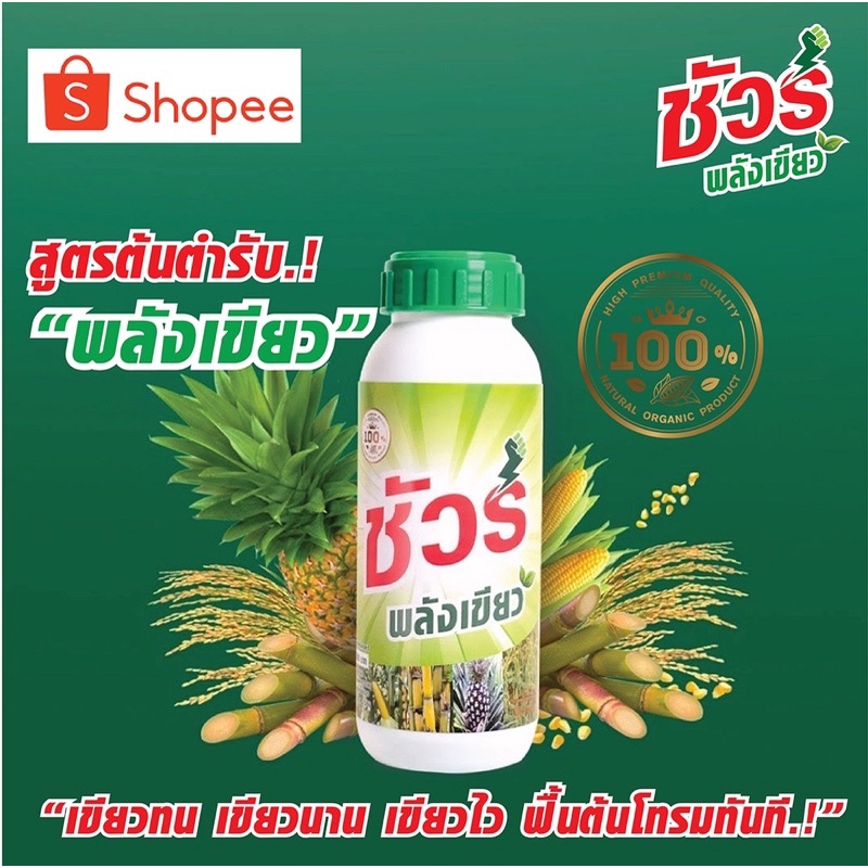 ชัวร์ พลังเขียว สูตรต้นตำรับ ฉียดปุ๊บเขียวปั๊บ.! ป้องกันโรคพืช วัคซีนพืช และอะมิโนพืชเกรดนำเข้า