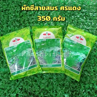 เมล็ดพันธุ์ผักชี สายสมร ตราศรแดง 350กรัม ซองละ 190฿