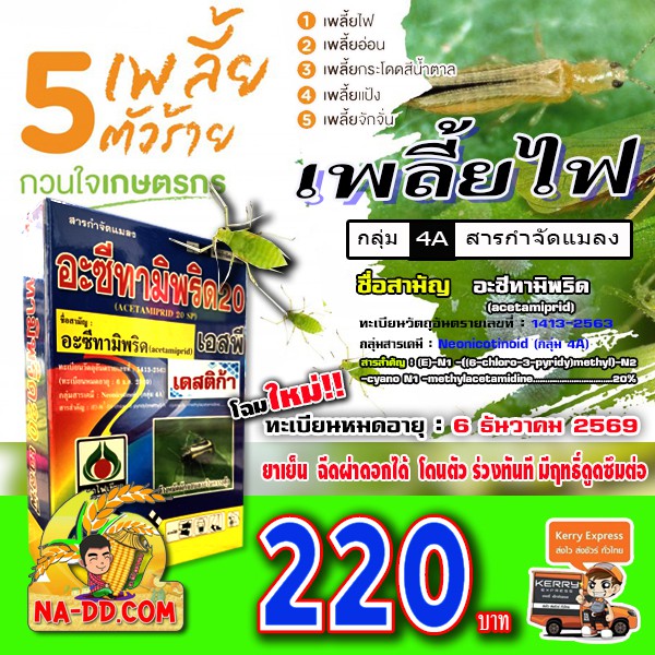 (ส่งฟรี)เดสติก้า20 ดูดซึมไว กำจัดเพลี้ยไฟ เพลี้ยไฟ เหมือนเอ็กซอล ออกฤทธิ์ ทำลายแบบเฉียบพลัน เป็นยาเย็น พ่นผ่าดอก