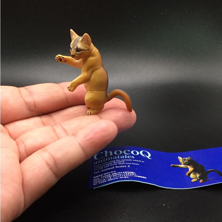 ฟิกเกอร์ สัตว์จิ๋ว  แมวน้อย น่ารัก Kaiyodo Furuta ChocoQ Pet Animatales Series 3 อะบิสซิเนียน (Abyss