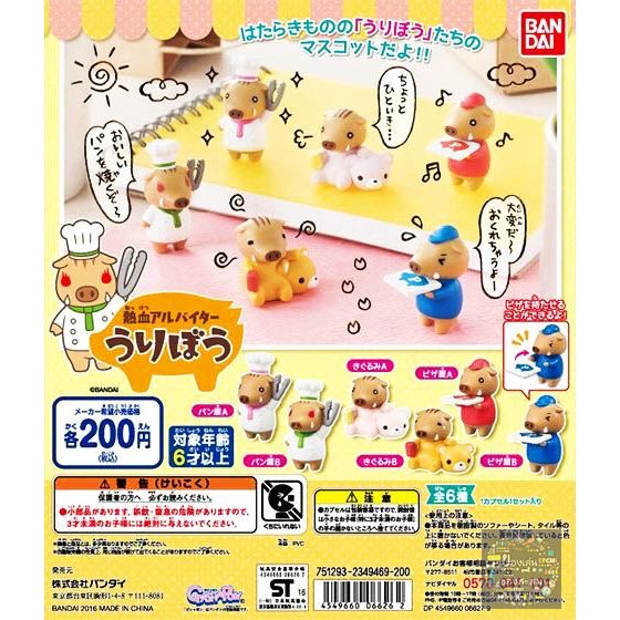 Gachapon Anime Pig Hot Blooded Uribou Mascot - กาชาปอง อนิเมะ ครอบครัวหมูตัวน้อย