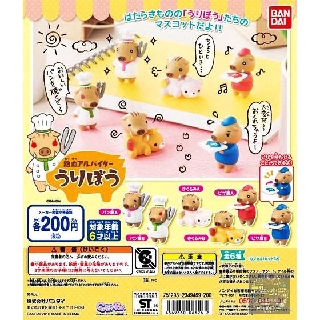 Gashapon Bandai Anime Pig Hot Blooded Uribou Mascot - กาชาปอง บันได อนิเมะ ครอบครัวหมูอารมณ์หัวร้อนนนน