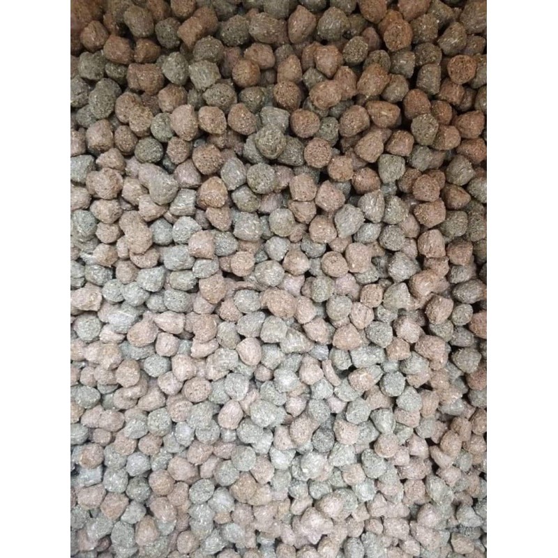 Ganzhu-Pro กันชูโปร (แบบกระสอบ 10 Kg)🐢 อาหารเต่าบก