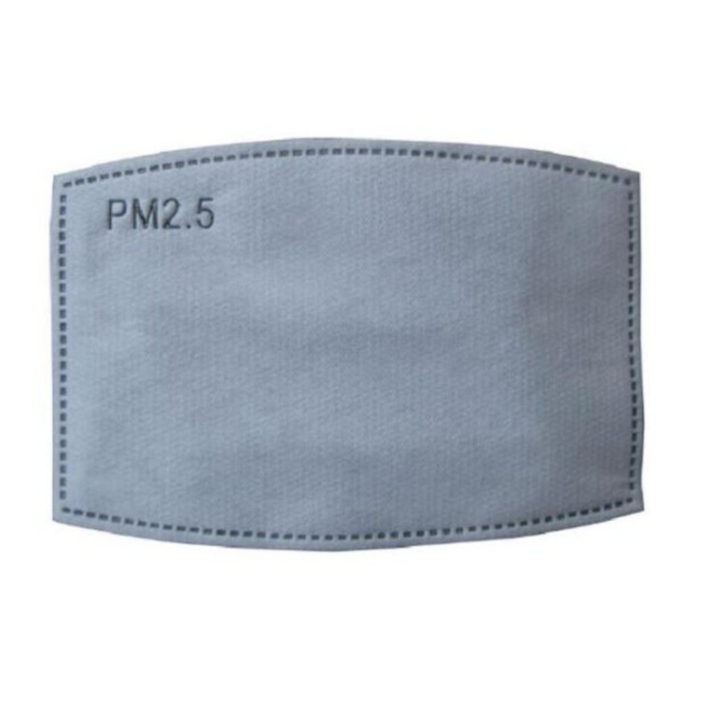 แผ่นกรองอนามัย คาร์บอน PM 2.5 ใช้กับหน้ากากผ้า พร้อมส่ง 1 ห่อ 10 ชิ้น