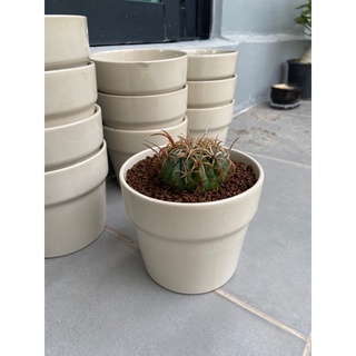 กระถางเซรามิค 4.5 นิ้ว แบรนด์ดัง เคลือบสีขาวครีม มีแบบเจาะ/ไ…