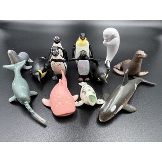 MODEL  FIGURE Bandai โมเดลของเเท้สัตว์ทะเลจำลอง animal sea ของเเท้จากญี่ปุ่น-02