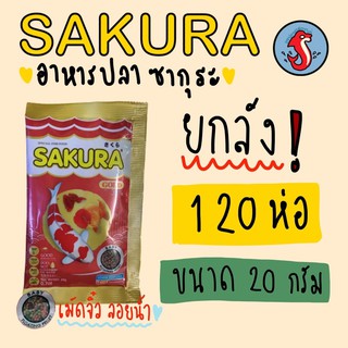 ‼️ยกลัง มี 120 ห่อ ‼️Sakura อาหารปลา ซากุระ ขนาด 20 กรัม📦