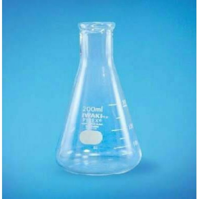 Erlenmeyer Flask 100ml IWAKI