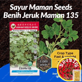 Benih Jeruk Sayur Maman 135 Maman Seeds [1000 seeds/20,000 seeds] Soon Huat Seeds男装/芹菜/上衣/裙子/帽子/seeds/内裤/手链/儿童/头饰/ JMXD