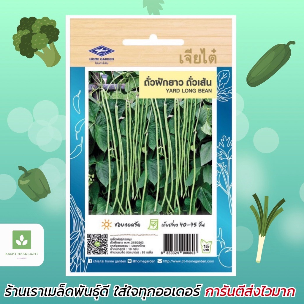 ถั่วฝักยาว เมล็ดพันธุ์ถั่วฝักยาว ถั่วเส้น เจียไต๋