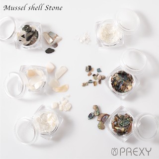 PREGEL MUSSEL SHELL STONE SET อุปกรณ์ตกแต่งเล็บ