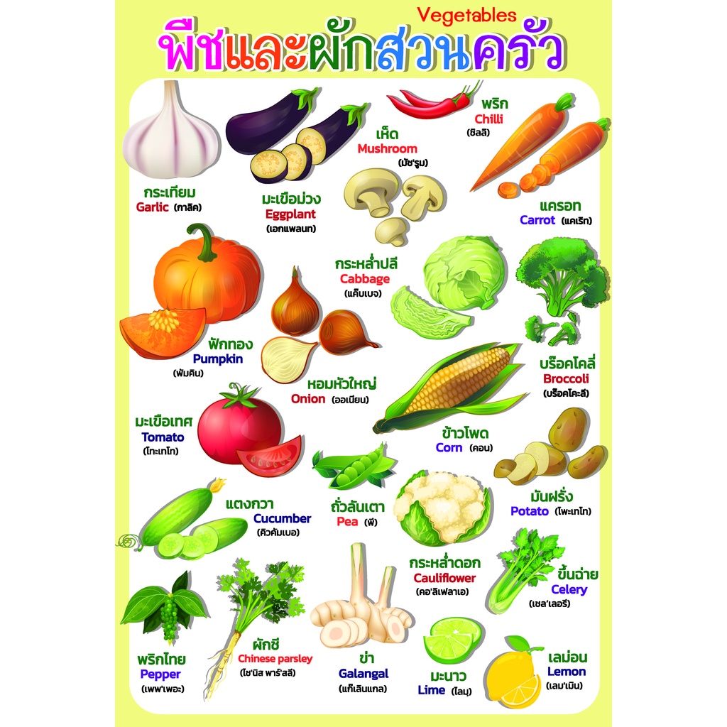 My Image 24