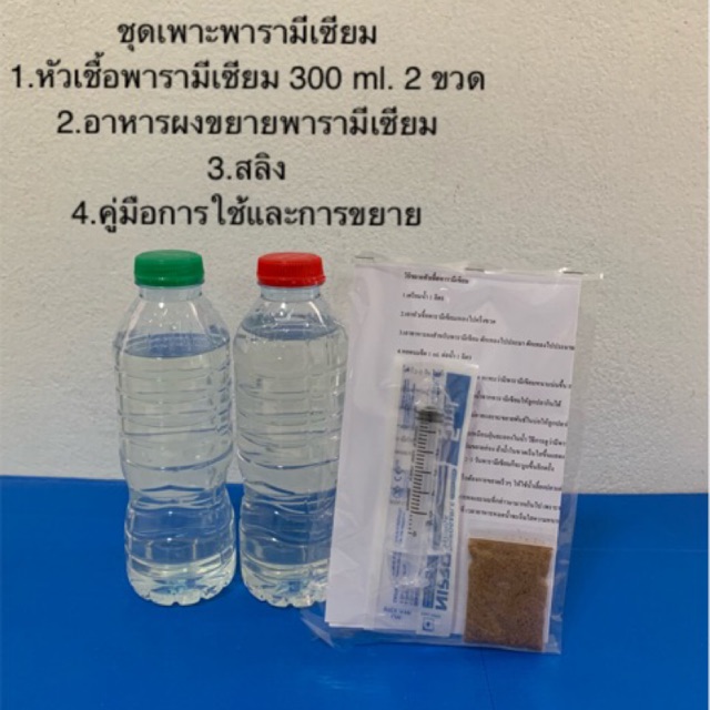 รายการ 92+ ภาพพื้นหลัง พารามีเซียมมีการกินอาหารอย่างไร ใหม่ที่สุด