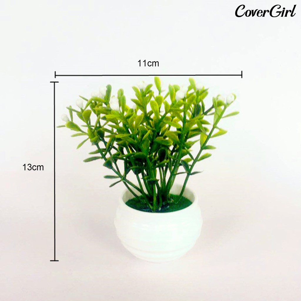 ( Beauty ) กระถางต้น