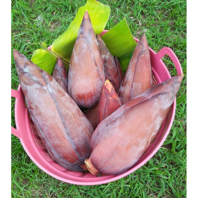 หัวปลีสดไซส์ใหญ่หัวละ 20 บาท ไซส์กลางหัวละ 15 บาทตัดสดๆตามออเดอร์ทุกวัน