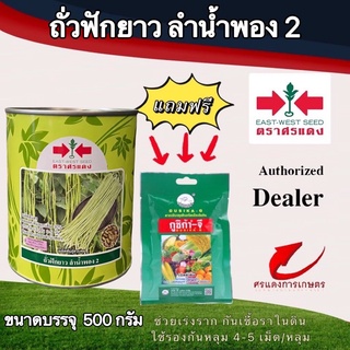 เมล็ดพันธุ์ ถั่วฝักยาวลำน้ำพอง2 500g แถมกูซิก้าจี 20 กรัม