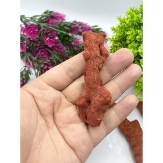 1 Pc Rough Bamboo Coral 5 cm -7 cm Long red Color Best for Healing