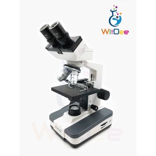 กล้องจุลทรรศน์ สองตา (Binocular Microscope)