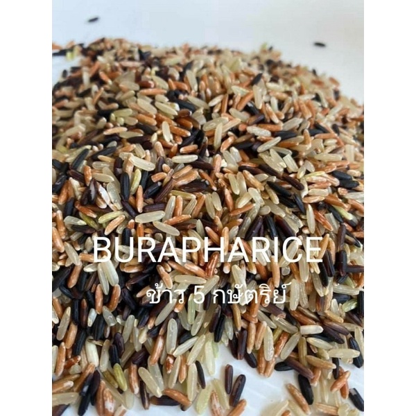 รูปภาพ 6