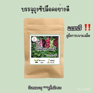 เมล็ดพันธุ์ ฮอลลี่ฮ็อค คละสี 80เมล็ดกุหลาบ/seeds/บ้านและสวน/ขึ้นฉ่าย/เมล็ดพืช/แม่และเด็ก/ผักชี/ดอกไม้/เสื้อ/สวน/ VWAN