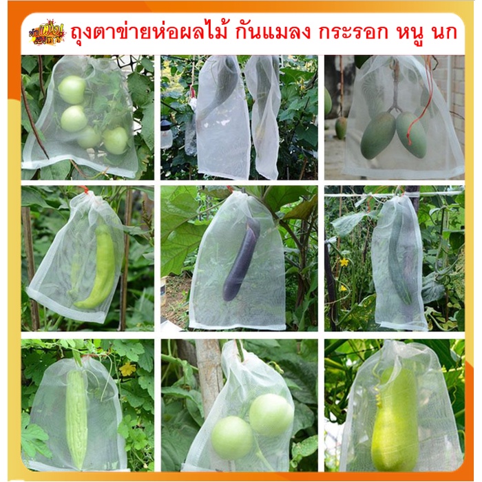 [ถูกที่สุดในไทย] ถุงห่อผลไม้ ผักผล ถุงตาข่ายห่อผลไม้ กันแมลง นก หนู กระรอก ทำจากไนล่อน
