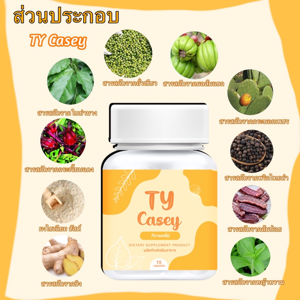 TY Casey (ทีวายเคซี่ย์) - รูปที่ 2