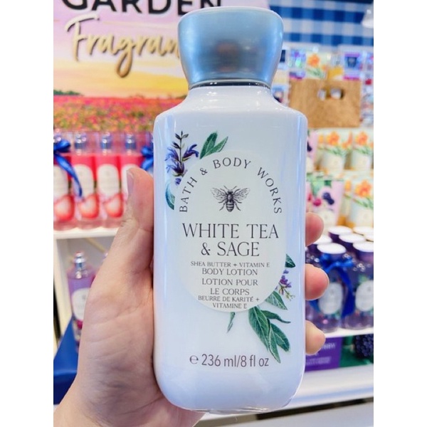 Bath Body Works WHITE TEA SAGE Body Lotion 236ml. ของแท้ 1993sarahayo ThaiPick