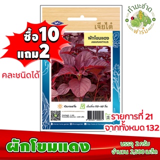 (ซื้อ10แถม2) เมล็ดพันธุ์ ผักโขม แดง Garden Spurge ประมาณ 2,500เมล็ด เจียไต๋ เมล็ดพันธุ์พืช เมล็ดพันธุ์ผัก เมล็ดผัก