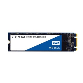 WDSSD2TB-M.2-3D NAND 5YEAR Model : WDSSD2TB-M.2-3D-5YEAR / SATA SOLID STATE DRIVE