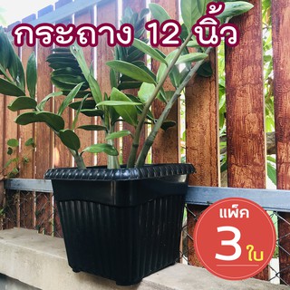 กระถางสี่เหลี่ยม 12นิ้ว (แพ็ค 3 ใบ) กระถางปลูกต้นไม้ กระถางพลาสติก