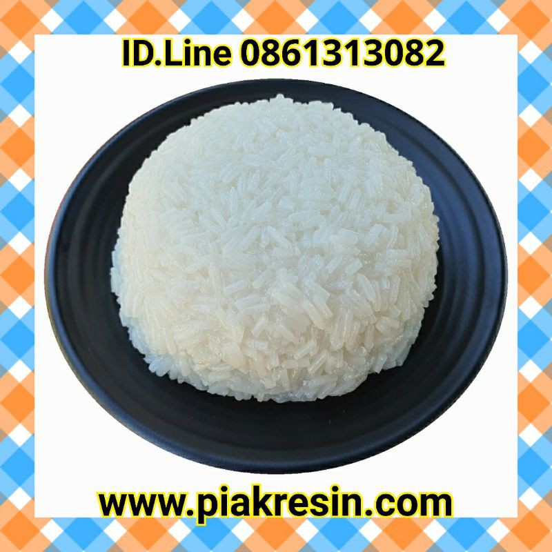 โมเดล ข้าวปลอม ข้าวเรซิ่น ข้าวเปล่า ไม่รวมจาน ชิ้นละ 270 บาท กว้าง 11 ยาว 11 หนา 4 CM ไม่รวมจาน ราคา ถูกที่สุด ดีลบีเคเค แกลเลอรีภาพที่ 2