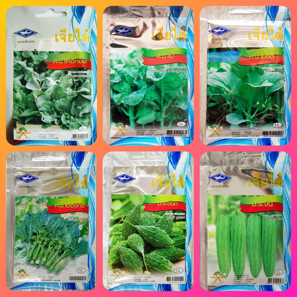 เมล็ดพันธุ์ผัก เจียไต๋ ผักซอง 9 บาท คะน้าเห็ดหอม คะน้าใบ คะน้ายอด คะน้าฮ่องกง มะระขี้นก มะระจีน