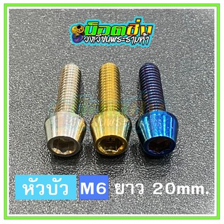 น็อตสแตนเลส หัวบัว ขนาดเกลียว m6 ยาว 20 mm.