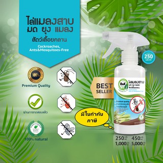 แหล่งขายและราคาไล่แมลงสาบ ไล่มด ไล่ยุง ไล่แมลง 250 มล  Cockroaches Ants Mosquitos & Insect-Free  B and K Naturalอาจถูกใจคุณ
