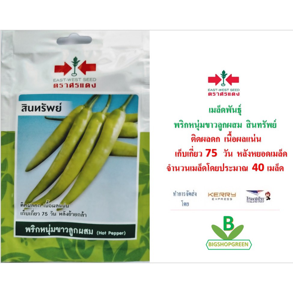 5 ฟรี 1 คละได้ เมล็ดพันธุ์ พริกหนุ่มขาวลูกผสม สินทรัพย์ ตราศรแดง เมล็ดผัก เมล็ดพันธุ์พืช เมล็ดพืช เมล็ดพันธุ์ผัก