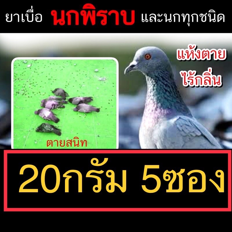 เบื่อนกพิราบ 20 กรัม จำนวน5ซอง ตายใน3-4วัน กำจัดนก ไล่นก เหยื่อกำจัดนกพิราบ กำจัดนก ออกฤทธิ์ช้า ทำลายอวัยวะภายใน
