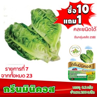 (ซื้อ10แถม1 ฟรีคู่มือ) เมล็ดพันธุ์ กรีนมินิคอส GREEN MINICOS  (0.2 กรัม 200 เมล็ด) เบบี้คอส ทำมะชาดฟาร์ม ผักสลัด