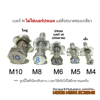 ทีนัท T Nut พุกเกลียวฝังไม้ 10ตัว ใช้สกรูเกลียวมิล น้อตตัวเมียฝัง งานไม้ สกรูน๊อคดาวน์ ประกอบโต๊ะตู้ ขันน๊อตฝังเนื้อไม้