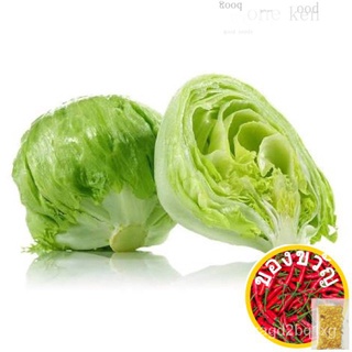 Iceberg lettuce green leaf vegetable seeds grande barge head/คื่นฉ่าย/เมล็ด/เมล็ด/เมล็ด/บ้านและสวน/สวน/สร้อยข้อมือ/เด็ก/