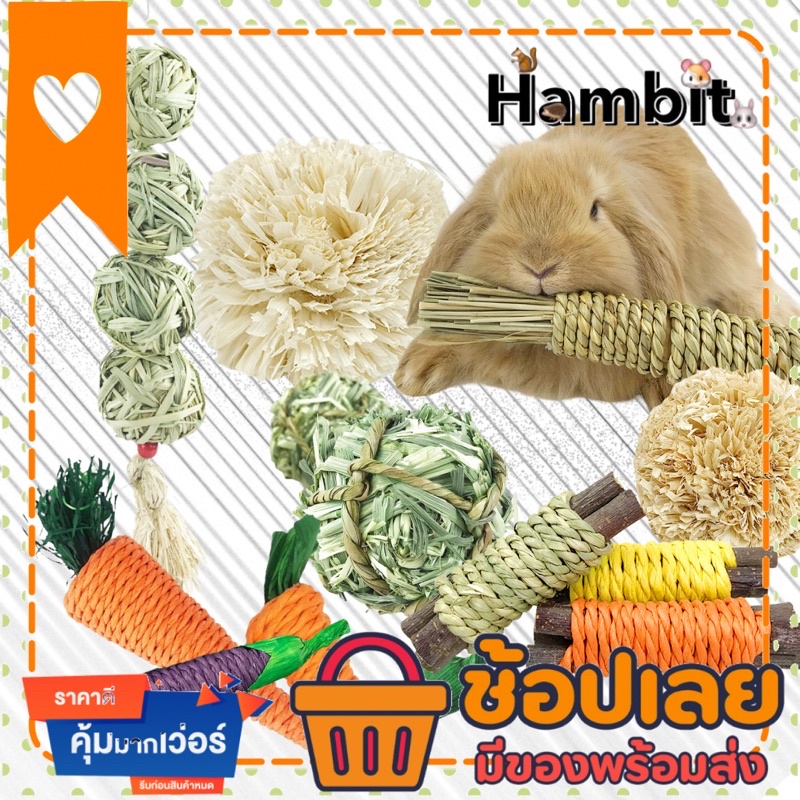 Hambit. ของเล่นกระต่าย บอลหญ้ากระต่าย ของเล่นแก้สบี้ หญ้ากระต่าย
