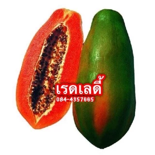 เมล็ดมะละกอ เรดเลดี้ 30 เมล็ด หวาน หอม เนื้อสีเเดง