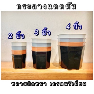 🎈ขั้นต่ำขอ 5 ใบน้า 🎈กระถางแปดเหลี่ยม พลาสติกหนา เกรดAA  👉2นิ้ว 👉3นิ้ว👉 4นิ้ว 🪴กระถางแคคตัส 🪴กระบองเพชร