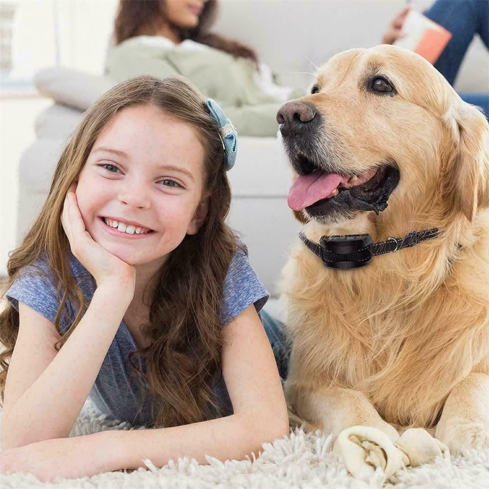 POPULAR???? Safe Anti Bark Collar Pet Stop Barking Training Auto
