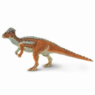 Safari Ltd. : SFR100350 โมเดลไดโนเสาร์ Pachycephalosaurus