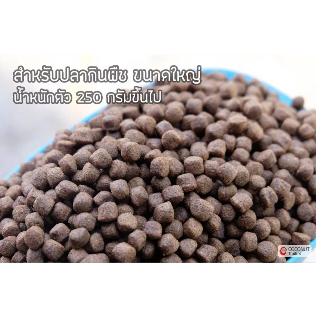 อาหารปลาดุก CP9922 (เม็ดใหญ่) แบบแบ่งขาย ขนาด 1 กิโลกรัม - รูปที่ 3