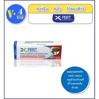 Xpert Allium Cepa Plus Gel (เอ็กซ Plus Gel (เอ็กซ์ เปิร์ท เจล) เจลลดรอยแผลเป็น แผลเป็นจากสิว เติมเต็มริ้วรอย หลุมสิว 10g